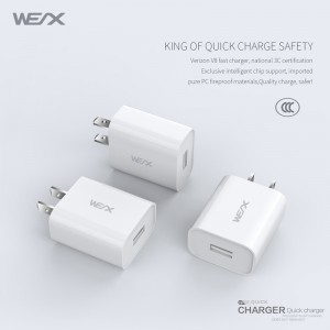 WEX - V8 travel charger, wall charger, power adapter