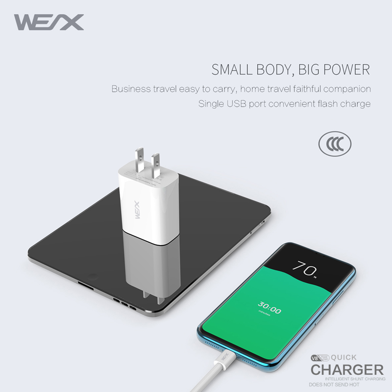 WEX - V8 travel charger, wall charger, power adapter